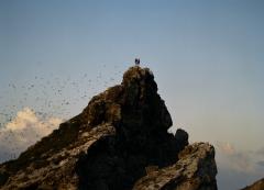 The top of a mountain. 