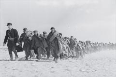  A large group waking in the same direction.