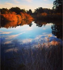 A picture of a pond and nature.