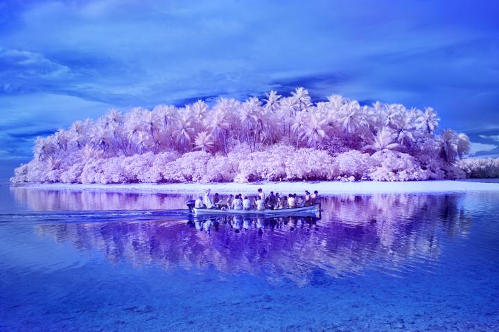 Pingelap Island in pink. 